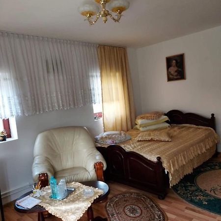 Casa Rodica Apartment Vatra Dornei Ngoại thất bức ảnh