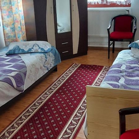 Casa Rodica Apartment Vatra Dornei Ngoại thất bức ảnh