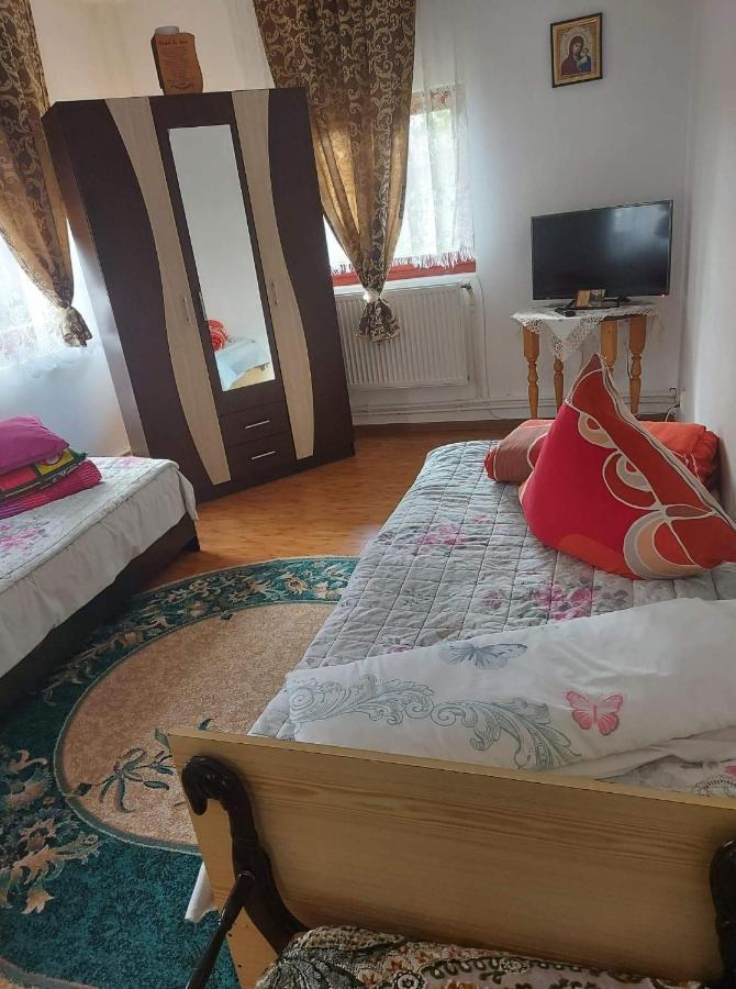 Casa Rodica Apartment Vatra Dornei Ngoại thất bức ảnh