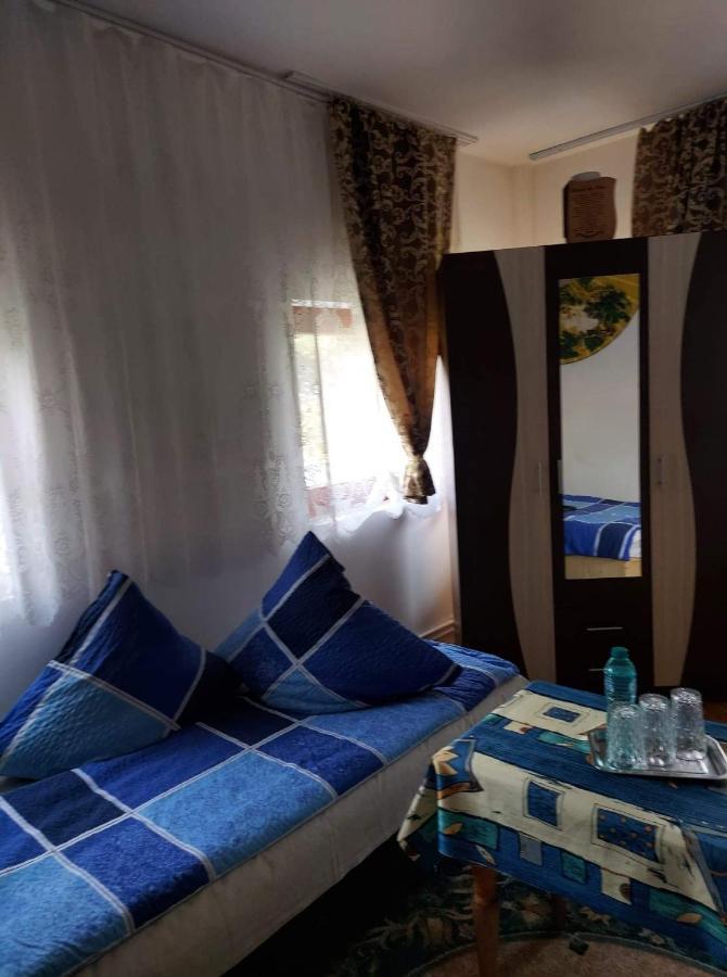 Casa Rodica Apartment Vatra Dornei Ngoại thất bức ảnh